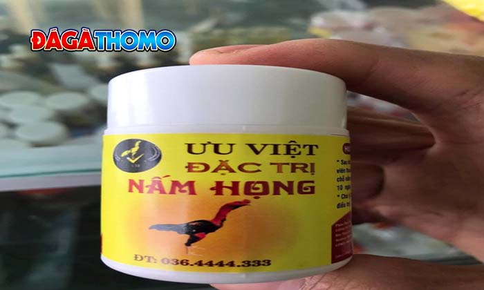 Phương pháp điều trị nấm họng ở gà đá hiệu quả Phương pháp điều trị nấm họng ở gà đá hiệu quả